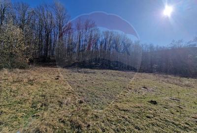 Teren Construcții intravilan de 4985 mp, în Sascut - 9