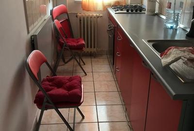 Drumul Taberei Raul Doamnei, mobilat modern si utilat complet - 9