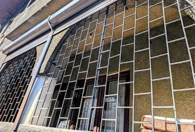 Apartament la parter de vila eleganta P+1 cu doar 2 apt,Parcul Carol,1/2 curte - 13