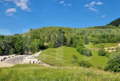 Teren de 117449 mp, în Central - 2