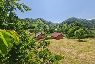 View superb:intravilan,constructie rezidenta/hotel, 2.327 mp,Moieciu de Jos, Bra - 2