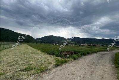 Teren intravilan de 3477 mp cu deschidere de 35 m in Boita - 2