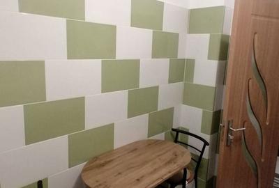 Apartament cu 2 camere semidecomandat, mobilat în City Park Mall - 4