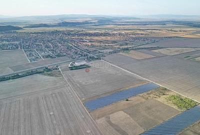 Teren Destinatie Industriala - 16