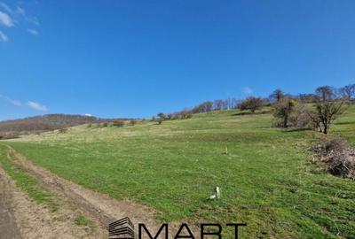 Teren extravilan 16420 mp | Sibiu - Daia - 2