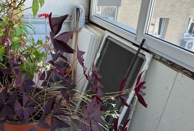 Apartament cu 3 camere decomandat în Nicolae Grigorescu - 1