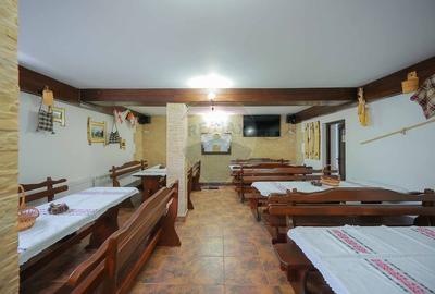 Oportunitate de investitie, Restaurantul Piatra Graitoare,Vartop,Bihor - 28