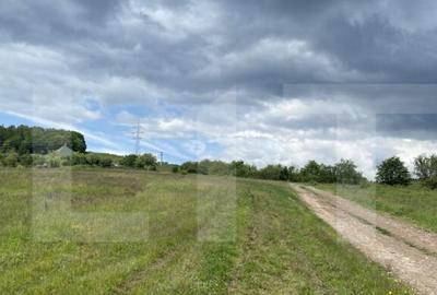 Teren cu poten?ial 1000 mp pe Dealul Partizanilor - 5