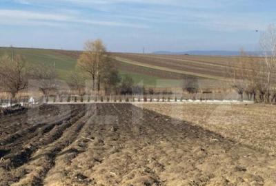 Teren de 2600 mp, în Central