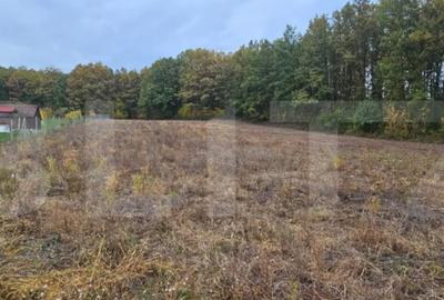 Teren de 2882 mp, în Bejan - 2