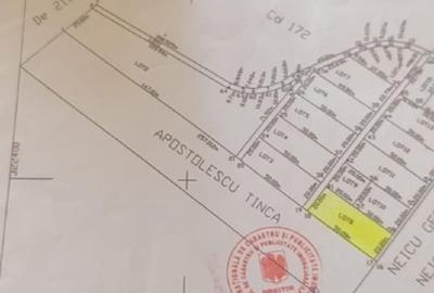 Domnesti, intravilan, 1000 mp - 3