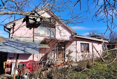 Casă cu 3 camere cu Teren 1100 Mp în Central - 10