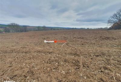 Spațiu comercial, în Izvoarele - 4