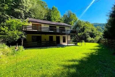 Vand cabana casa locuit Marisel - 6