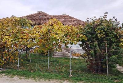 CASĂ SI TEREN BAIA DE FIER - 2