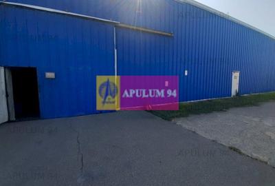 Spațiu industrial, de 4,850 mp, în 1 Decembrie - 41