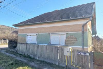 Casă cu 3 camere cu Teren 690 Mp în Central - 3