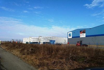 Teren de 63000 mp, în Lugojului - 6