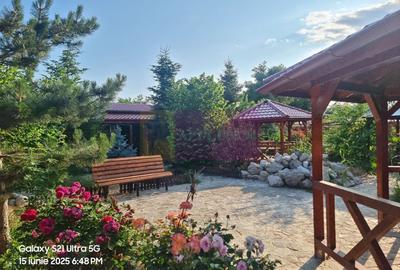 TEISORI (JUD. GIURGIU) - DE VZ CASA OASPETI + ANEXE - 39