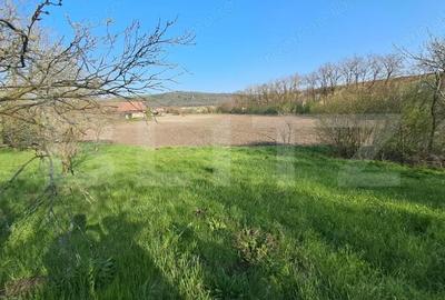 Casă cu 2 camere cu Teren 15000 Mp în Central - 7