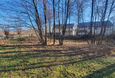 Teren rezidential zona Bran Predelut zona de case si pensiuni - 6