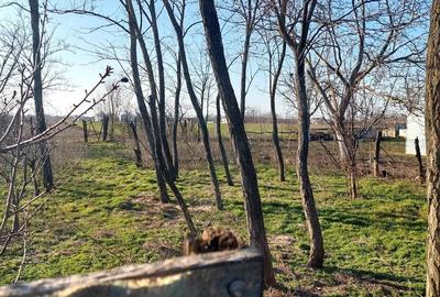 Casă cu 7 camere cu Teren 5500 Mp în Central - 1