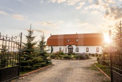 Conac de vanzare 7 camere cu bai proprii, crama, ciubar si potential - 3