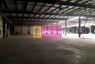 Spațiu industrial, de 4,850 mp, în 1 Decembrie - 38