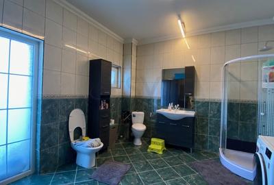 REV2003389 Vila Pantelimon proximitatea lacului - 40