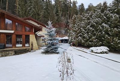 Vilă de lux cu 4 camere de vânzare în Câmpulung Moldovenesc, Suceava - 46