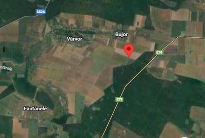 Teren extravilan Varvoru de Jos, jud Dolj - 7