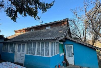 Casă cu Teren 2700 Mp în Iazu Nou - 8