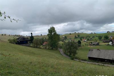 Teren de 5317 mp, în Șirnea - 6