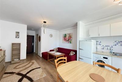 Apartament cu 2 camere decomandat, mobilat în Industrial Vest - 2