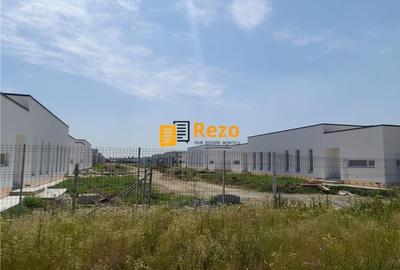 CHITILA, DRUM NATIONAL 7 SABARENI, PADURE - 3