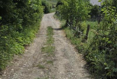 Teren splendid Garcina - 8