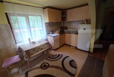 Cabana 3 cam,2 nivele 100 mp+teren extravilan 2,5 ha+1 ha padure,zona Nasaudului - 6