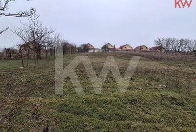 Duplex cu 7 camere cu Teren 2354 Mp în Malu Mare - 17