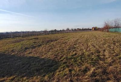 INVESTITIE ! Sacalaseni intravilan - 6