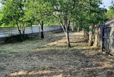 Vand Gospodarie CU Carte Funciara 3000MP - 5