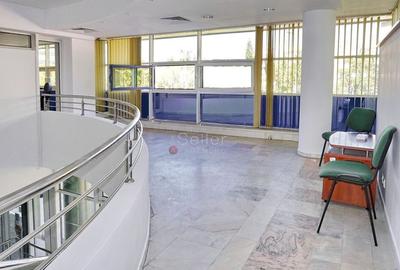 Pozitionare Privilegiata - 6