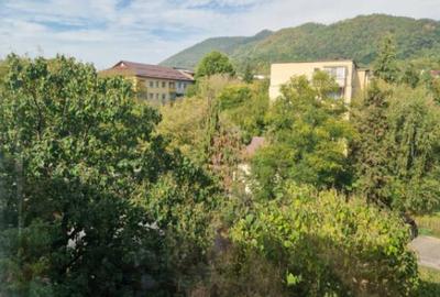 Apartament cu 3 camere decomandat, mobilat în Săsar