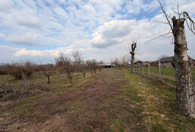 Casă individuală cu 4 camere cu Teren 7204 Mp în Malamuc - 6