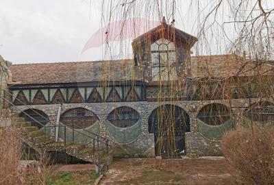 Vanzare Casa-Conac boieresc stil Baroc cu teren in Stoenesti, jud Olt - 4