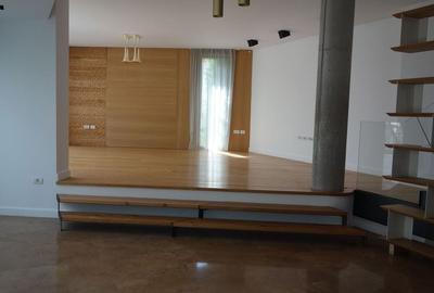 Erou Iancu Nicolae-Jolie Ville - 3