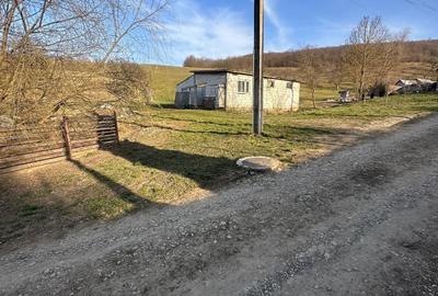 Teren de 2000 mp, în Ghirișu Român - 4