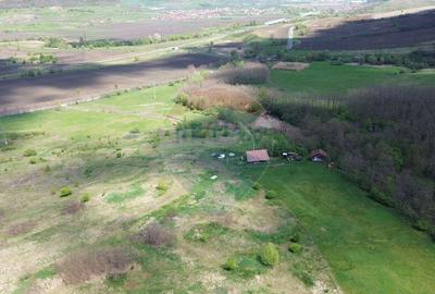 Domeniu - 66 Hectare - Teren deosebit Copsa Mica cu desch... - 23