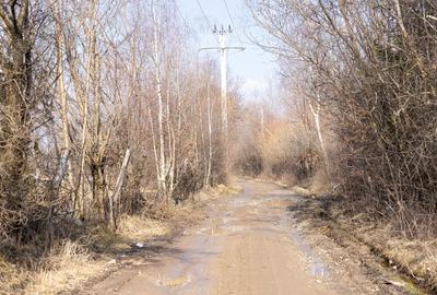 Teren Construcții intravilan de 5967 mp, în Bran - 11