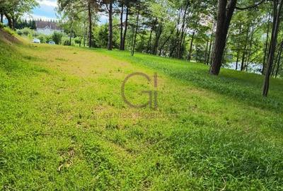 Teren intravilan superb in Cisnadioara pentru resedinta ta  privata de lux ! - 5