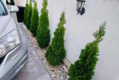 Mamaia Nord vila P+E+M 5 camere - 17